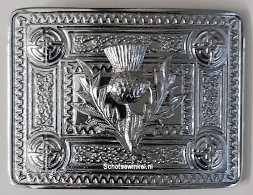 Buckle,  Big Thistle